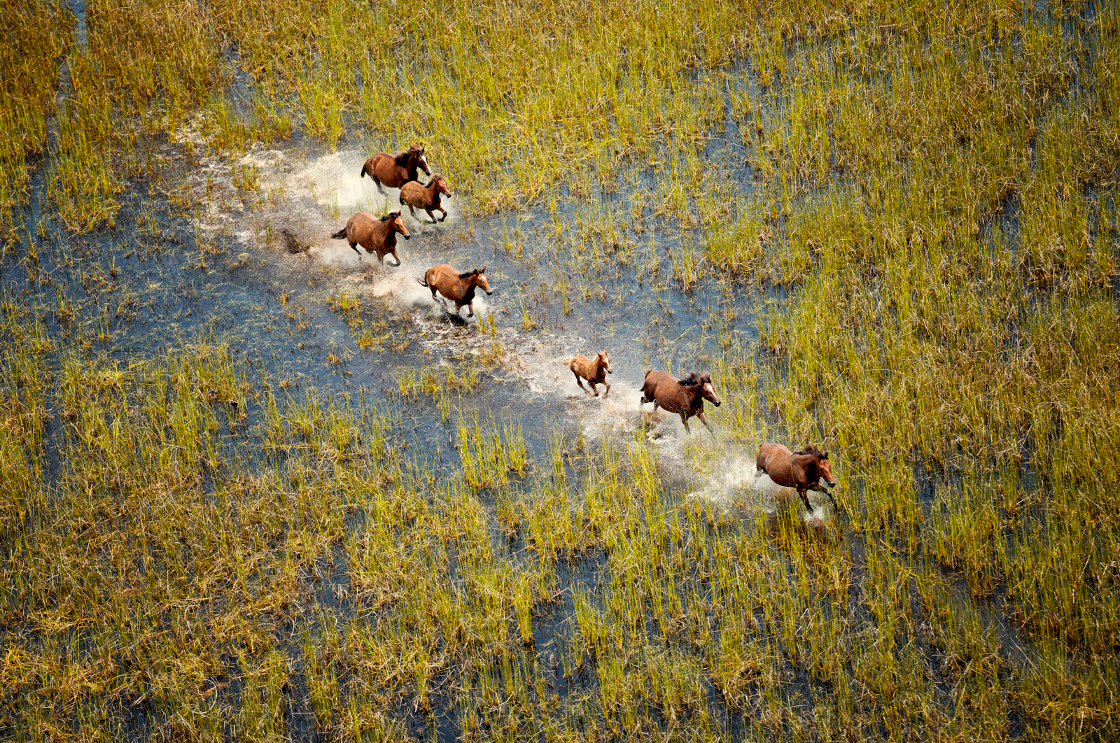 Preserving the Kimberley’s Legacy: Our Commitment to Conservation and Biodiversity